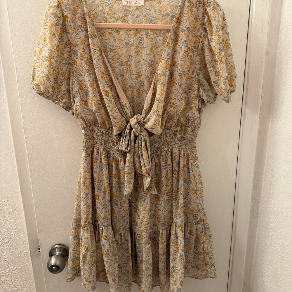 Blush Floral Mini Dress with Tie-Front